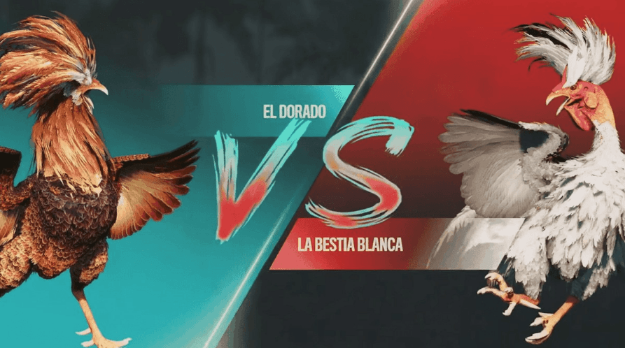basquetepg Cassino Online Oficial